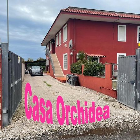 Casa Orchidea Lägenhet Fiumicino Exteriör bild