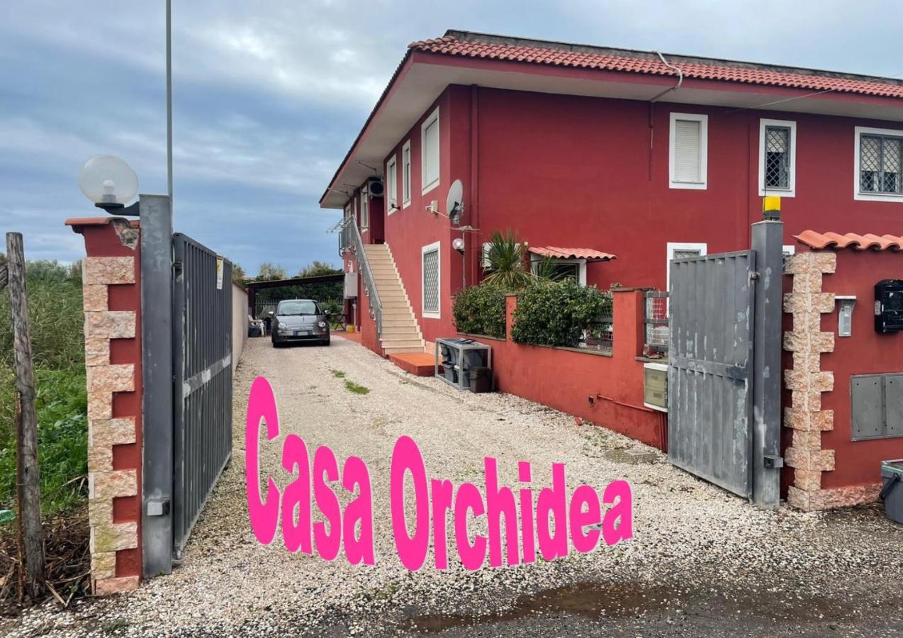 Casa Orchidea Lägenhet Fiumicino Exteriör bild