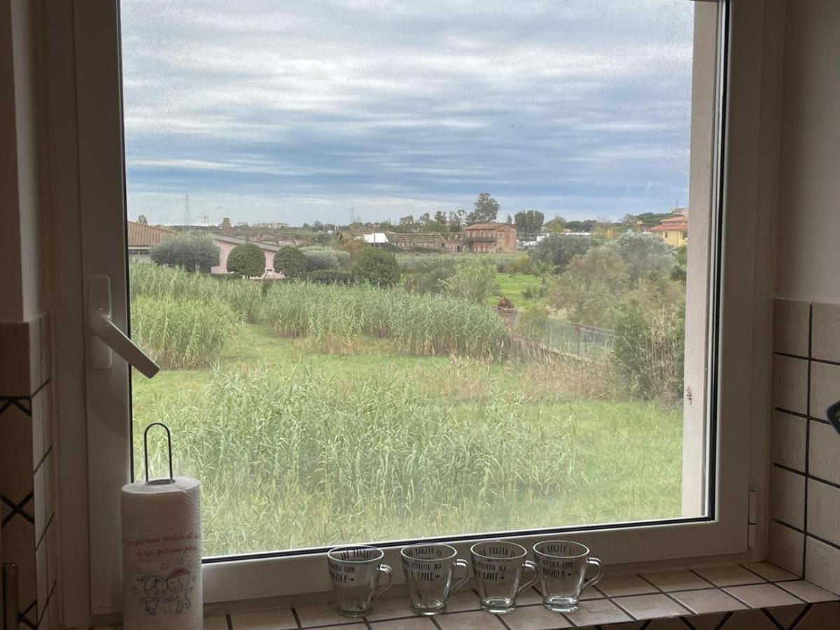 Casa Orchidea Lägenhet Fiumicino Exteriör bild
